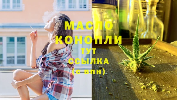 mix Богородицк