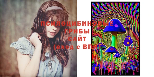 не бодяженный Михайлов