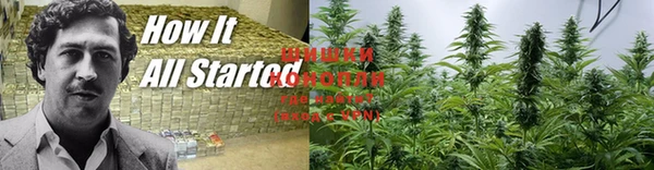 не бодяженный Михайлов